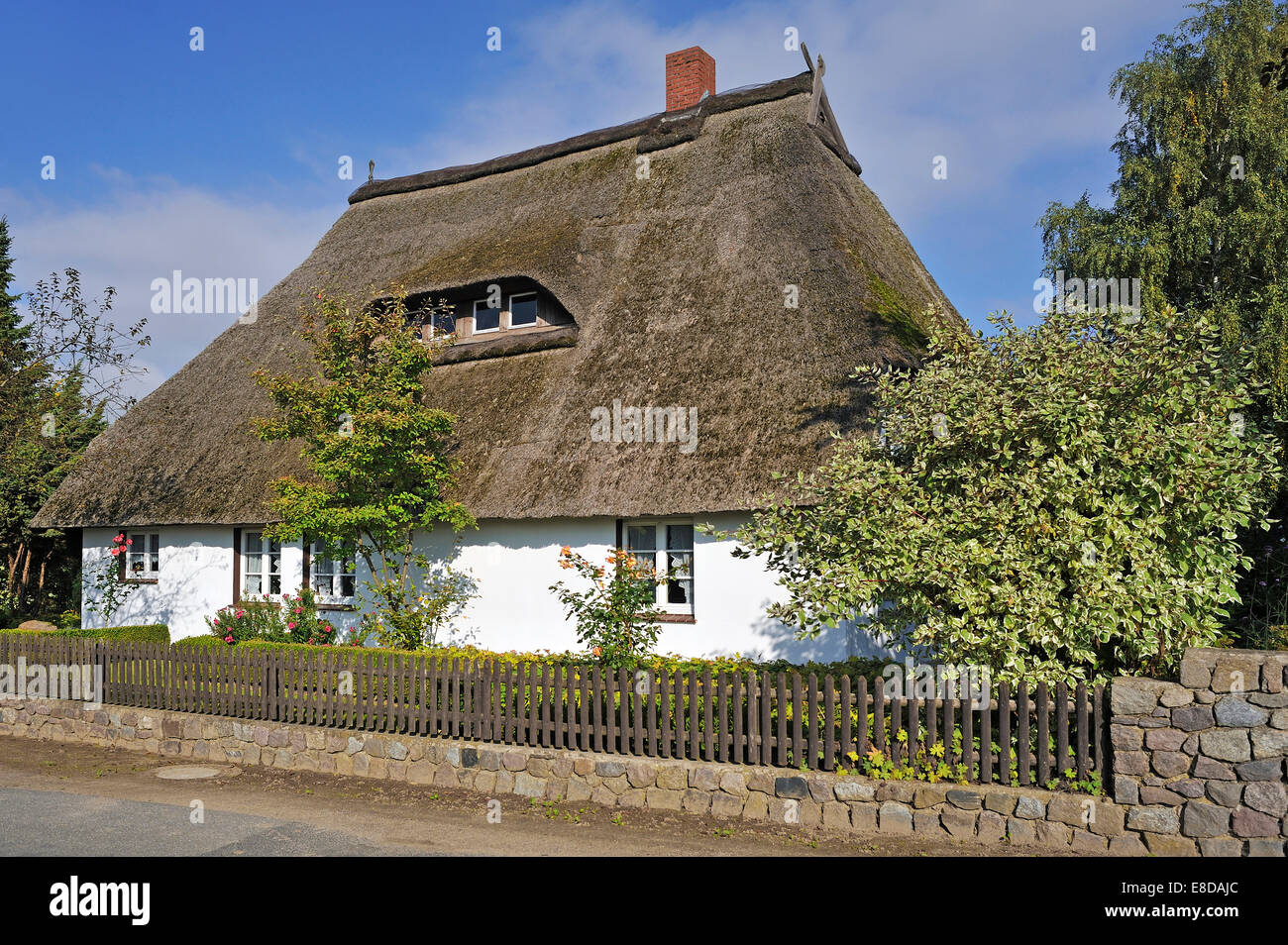 Thatched Family House Mecklenburg Vorpommern Stock Photos