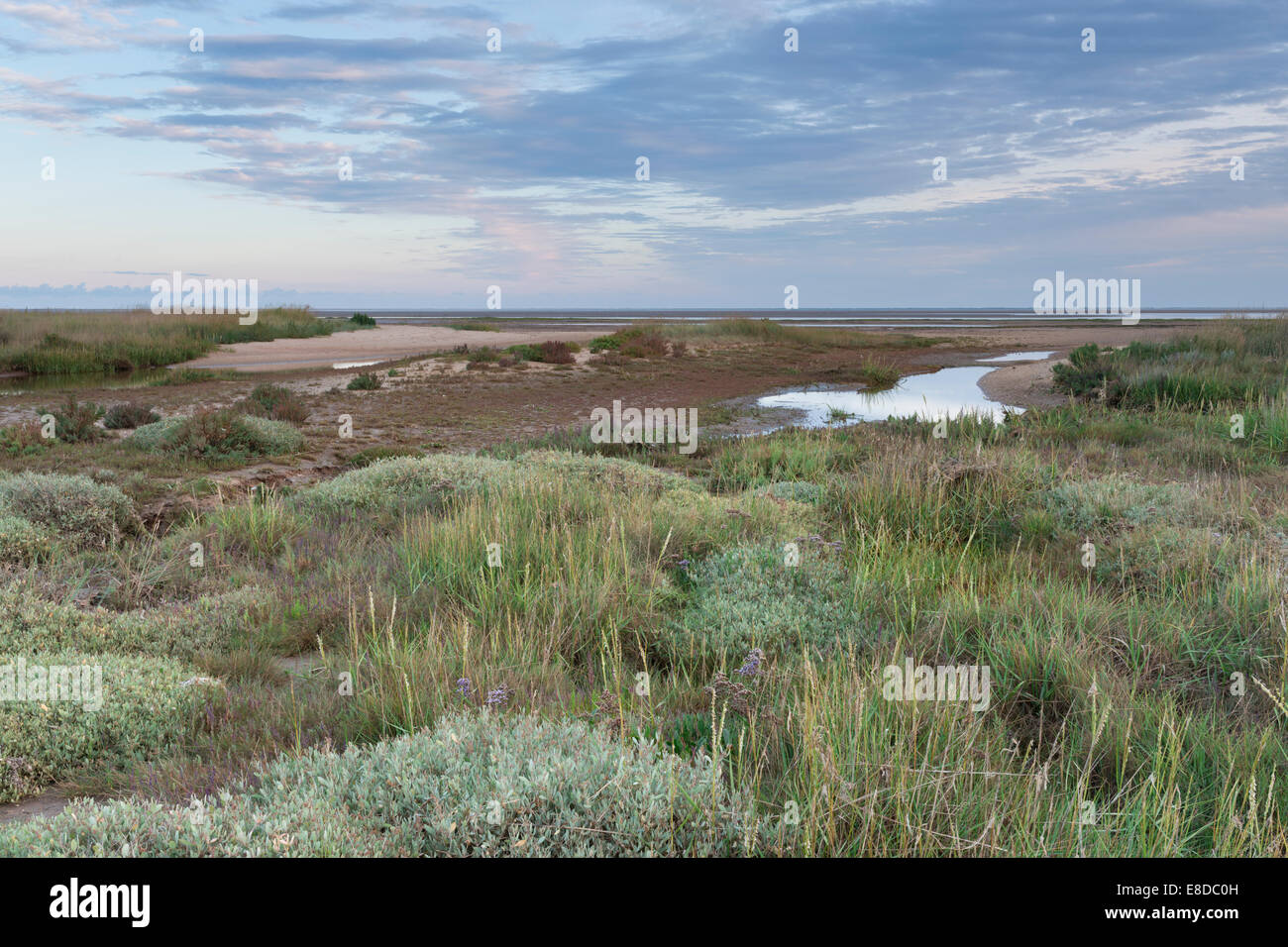 A view of Stiffkey marshes, Norfolk Stock Photo
