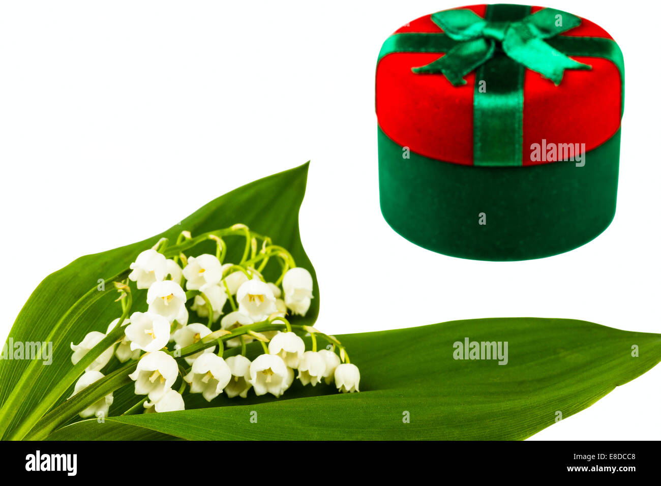 lilies of the valley on white background Stock Photo Alamy