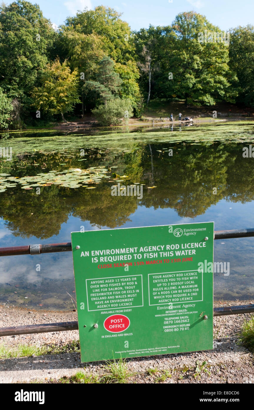 A sign warns of the need for a Rod Licence from the Environment Agency before fishing in Keston Ponds in Bromley, Kent. Stock Photo