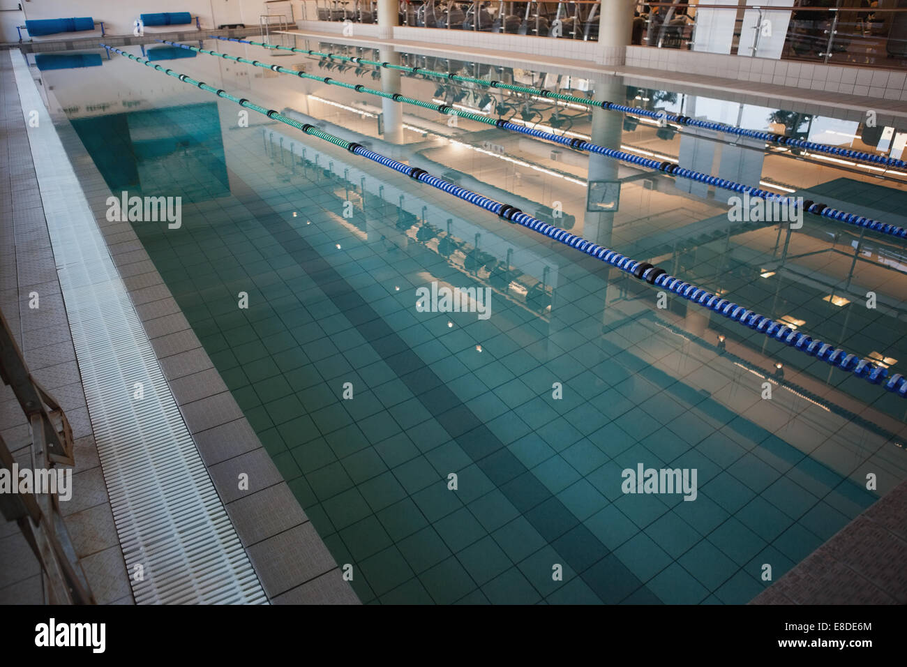 Empty swimming pool with lane markers Stock Photo