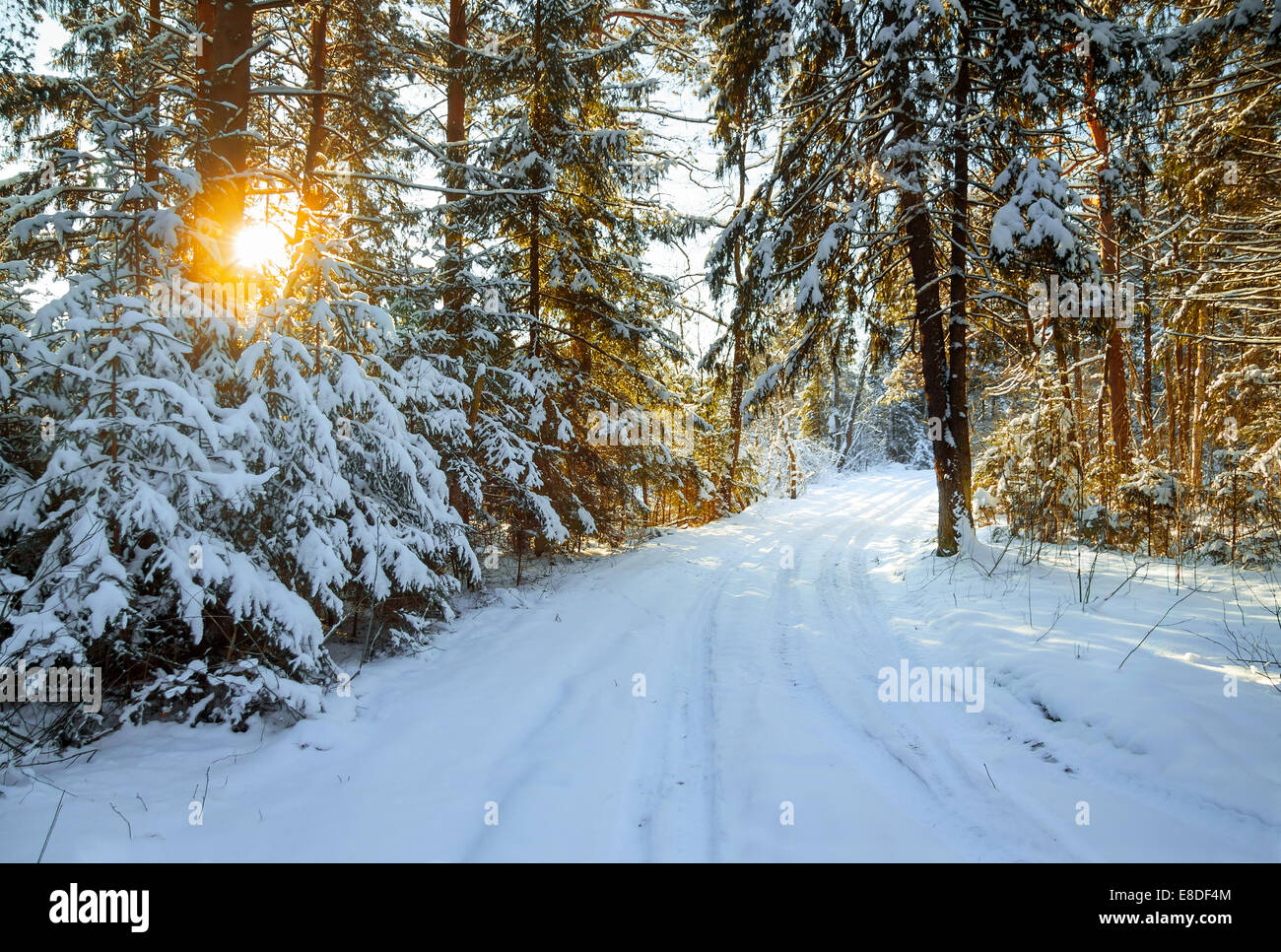beautiful winter landscape with the forest and a road Stock Photo - Alamy