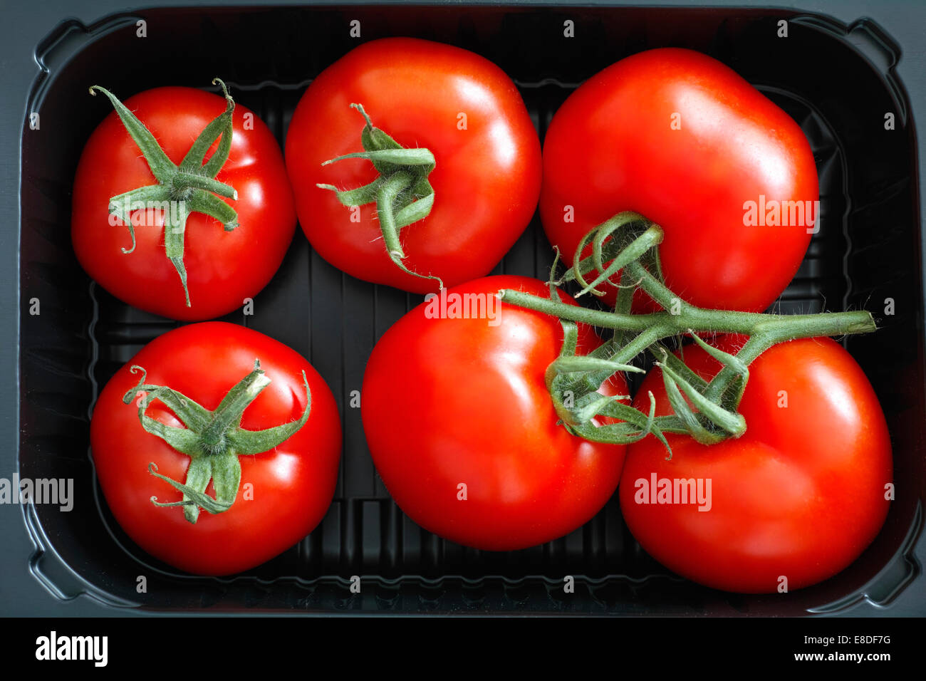 Fresh organic tomatoes. Fresh crop. There is some dust on the plastic box. Stock Photo
