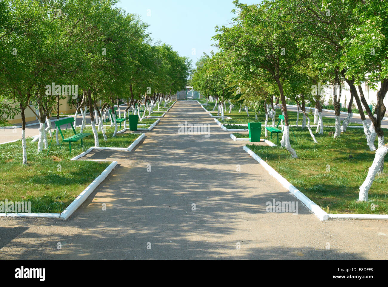 Alley in the green sunny park with grass and trees Stock Photo - Alamy