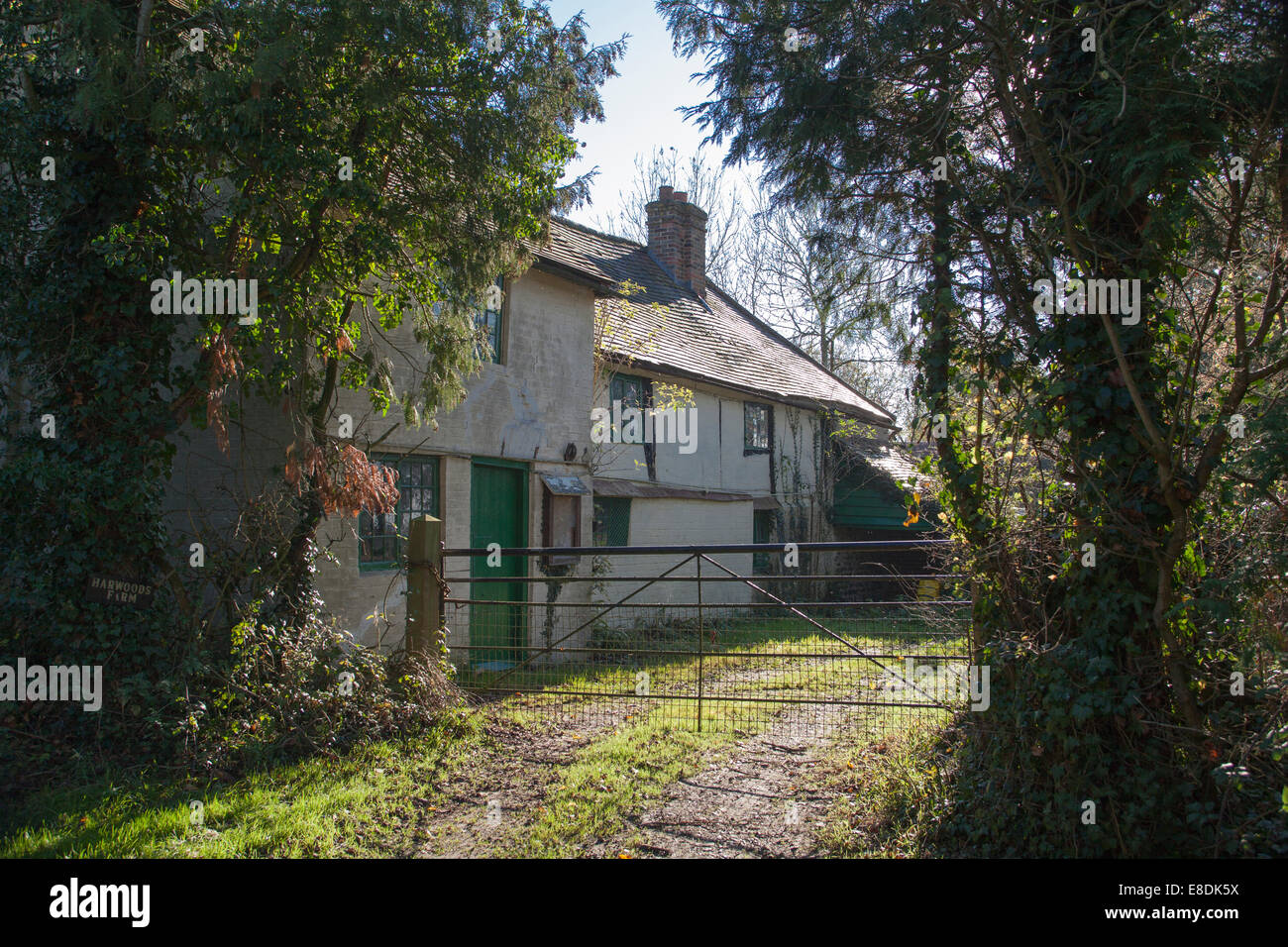 Little old cottage West Sussex England Stock Photo