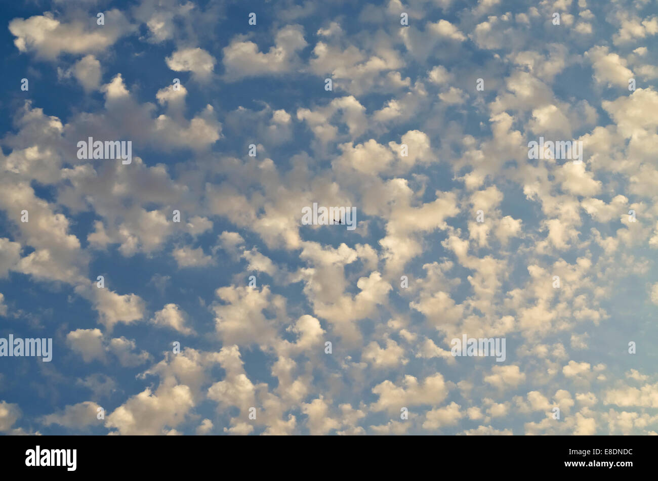 Blue sky filled with small puffy clouds at sunset, with tiny silhouette of commercial jet flying through. Stock Photo
