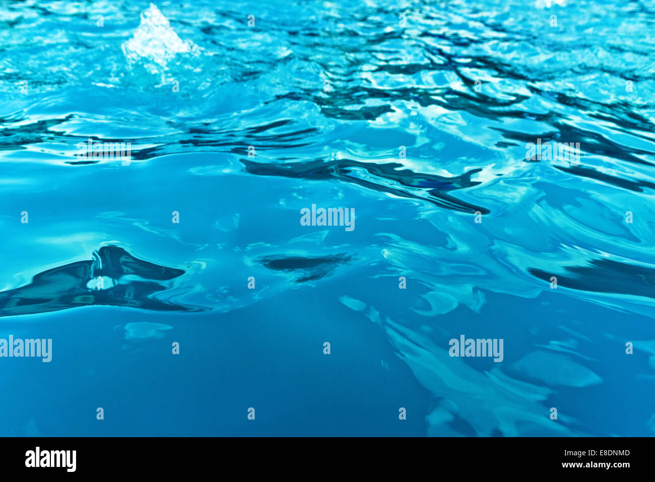 Clear blue water swimming hi-res stock photography and images - Alamy
