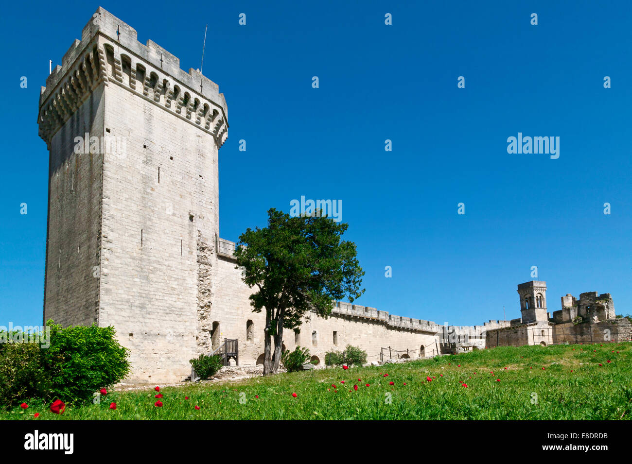 The Medieval Castle,Beaucaire,Gard,Languedoc Roussillon,France Stock Photo