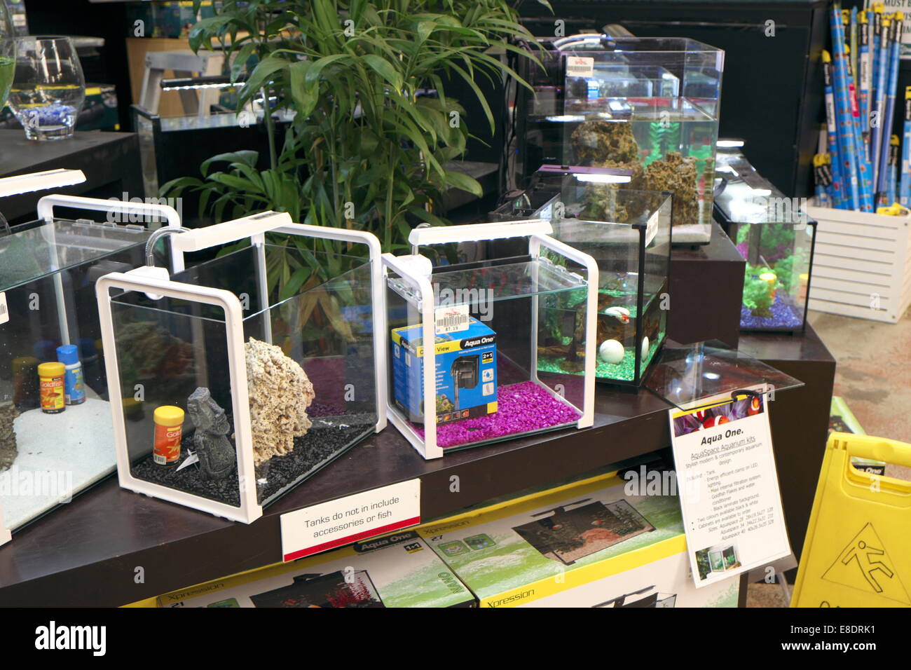 fish tanks acquariums for sale in a sydney fish shop store,.australia Stock Photo