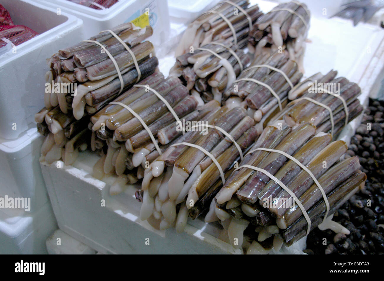 Razor Clams on display in Billingsgate Fish Market, London Stock Photo