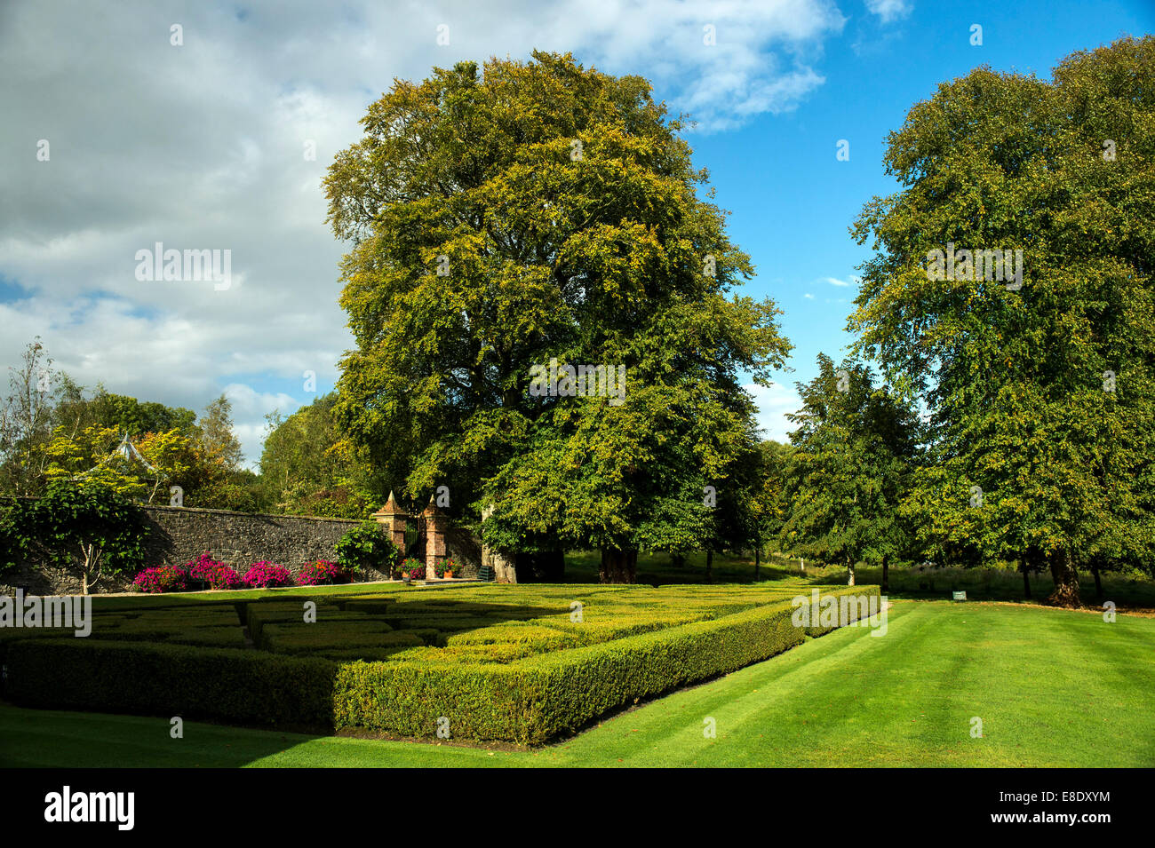 Parerre of boxed hedging and trees at  Oakfield Demesne, Raphoe, County Donegal, Ireland, Europe Stock Photo