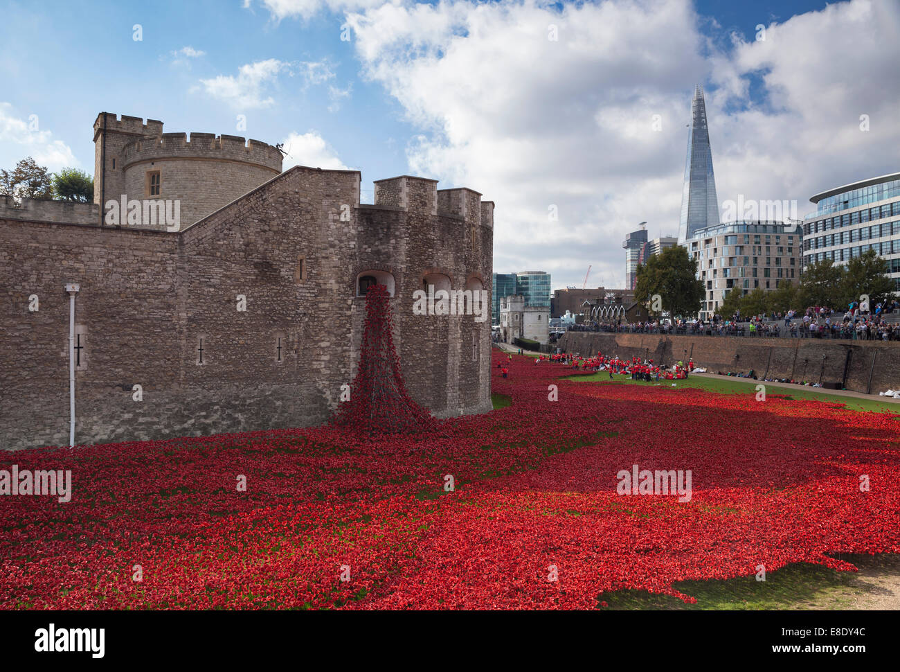 Blood Swept Lands and Seas of Red - Ceramic poppies planted in the moat of the Tower of London. London, England, UK Stock Photo