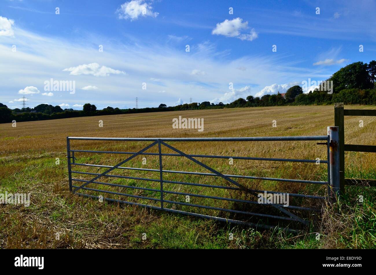 Field in the village of Laleston, near Bridgend, South Wales, UK Stock Photo