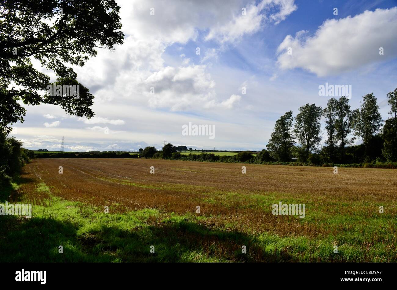 Fields in the village of Laleston, near Bridgend, Mid Glamorgan, South Wales, UK Stock Photo