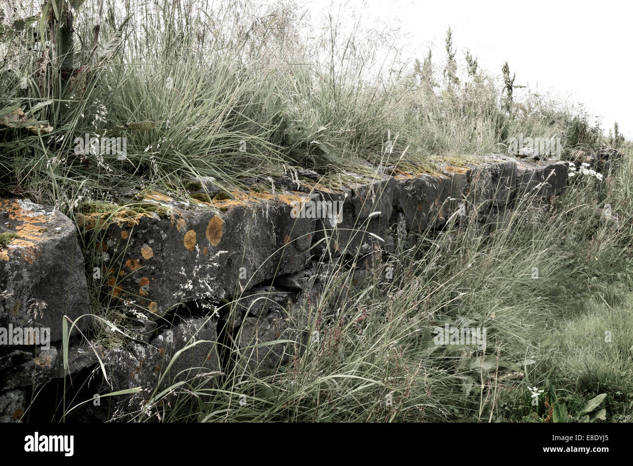 Stone wall and grass Stock Photo - Alamy