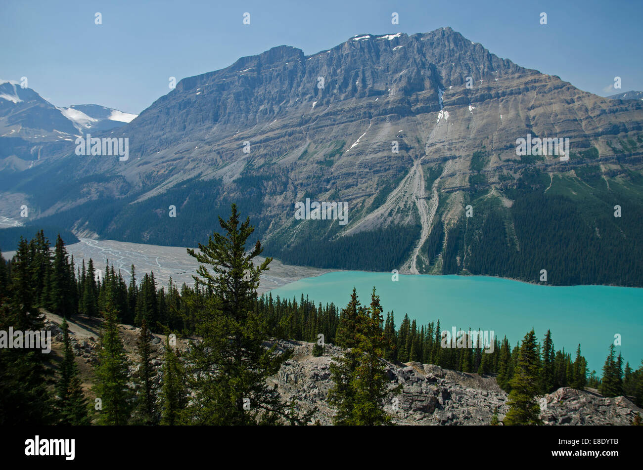 Peyto lake and Bow summit, Rockies, Canada Stock Photo - Alamy