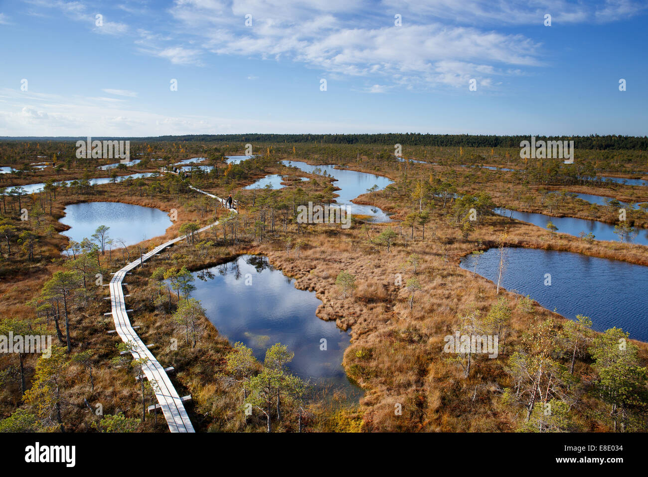 View to walking trail in swamp, Ķemeri National Park in Latvia Stock Photo