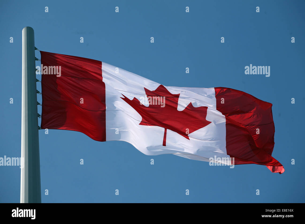 The National Flag of Canada, The Maple Leaf and l'Unifolié Stock Photo