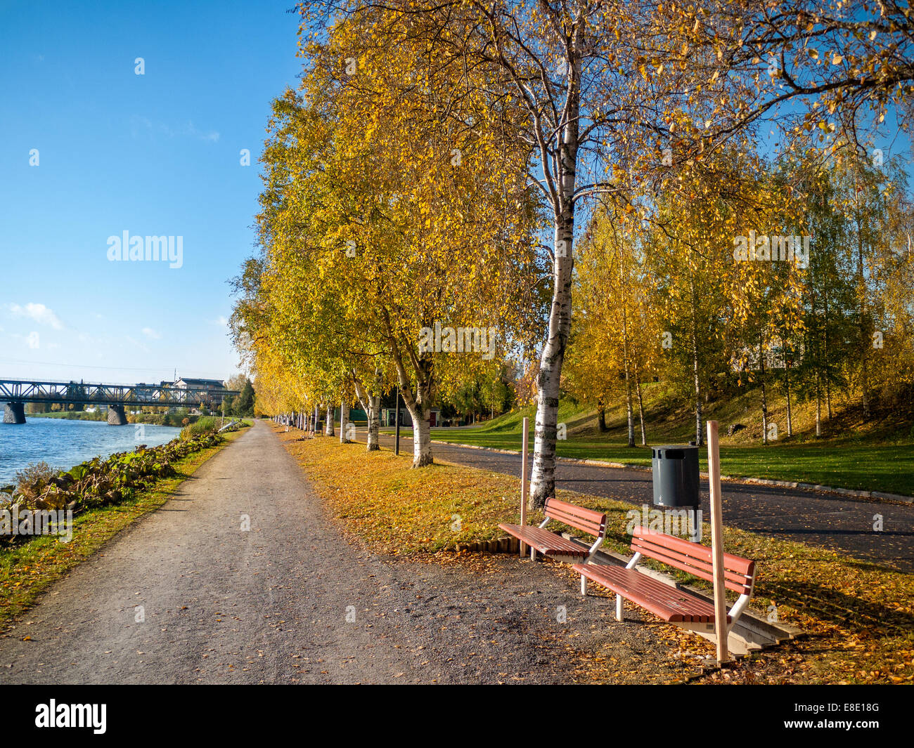 Park alley in autumn colors Stock Photo