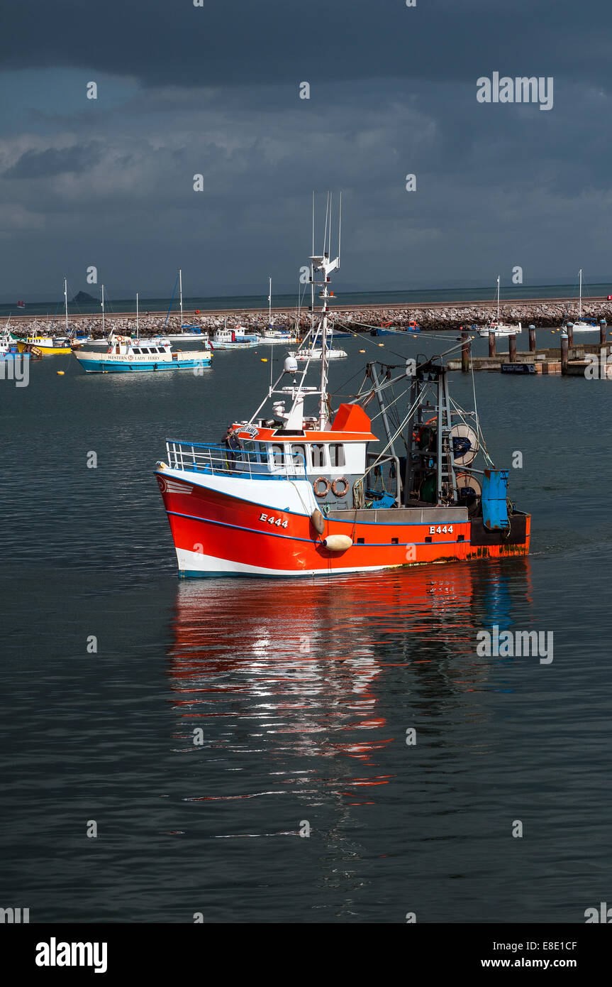 Brixham fishing fleet,e 444,brixham trawler fleet,koden,UK vessels landed £27million of fish into Brixham in 2012 – the highest Stock Photo