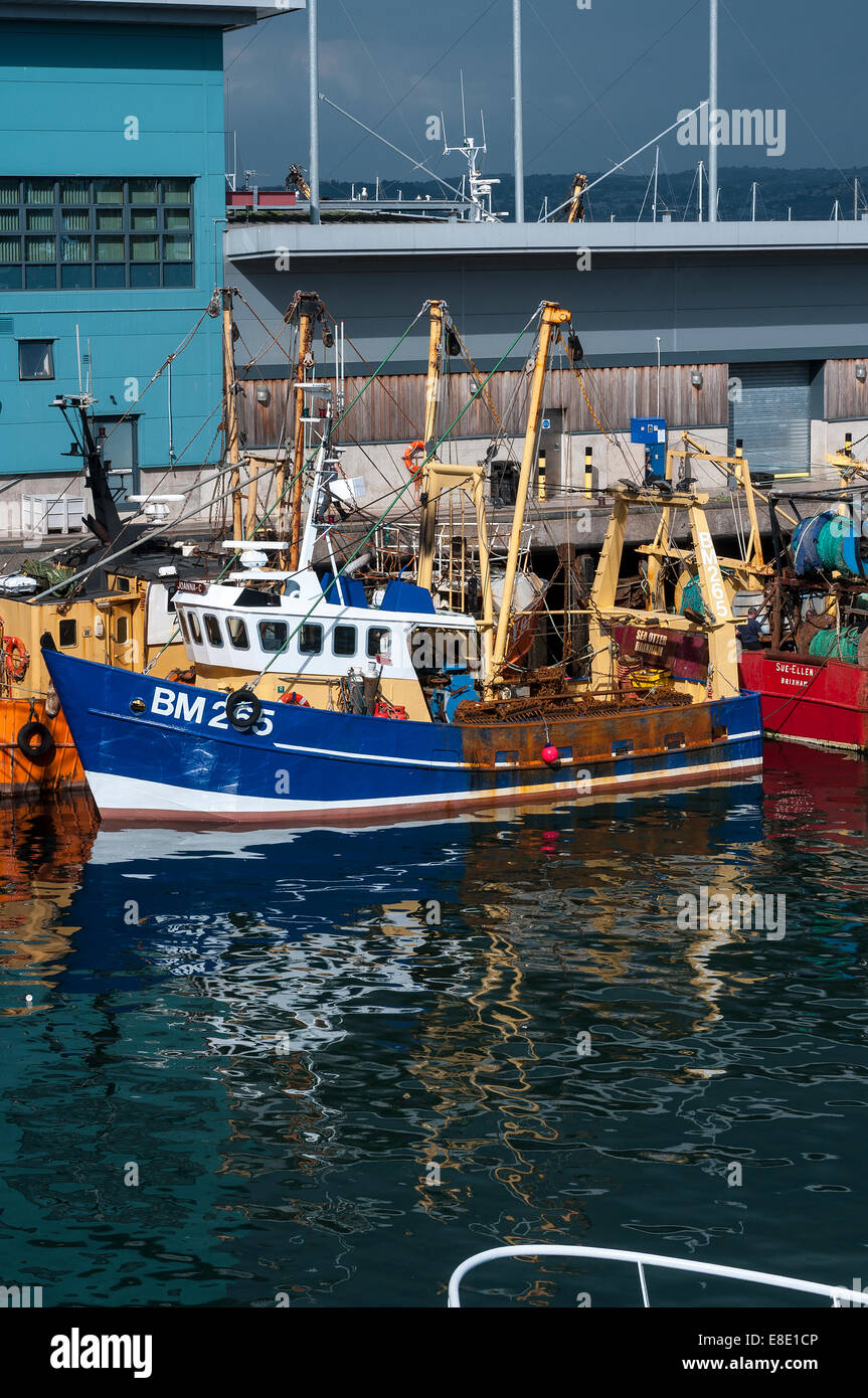 Brixham fishing fleet,brixham trawler fleet,koden,UK vessels landed £27million of fish into Brixham in 2012 Stock Photo