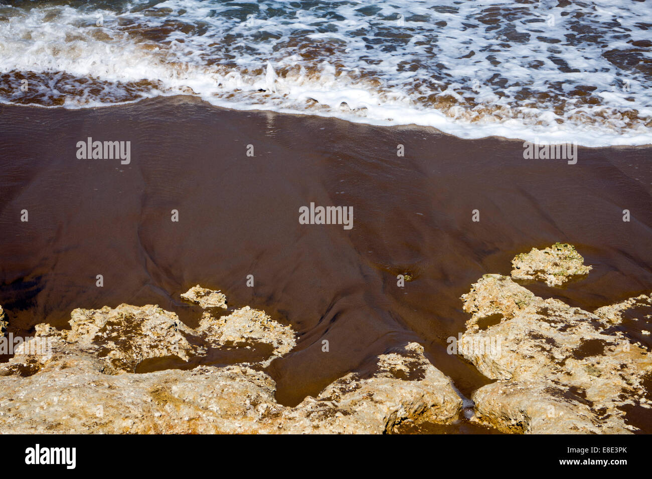 Shallow focus image of rocks and sea Stock Photo