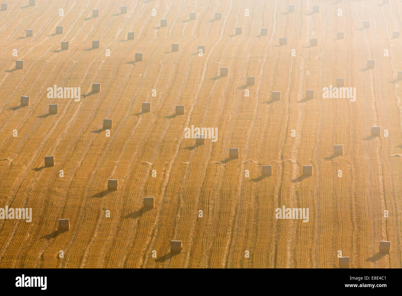 Bales after harvest in a stubble field Stock Photo - Alamy