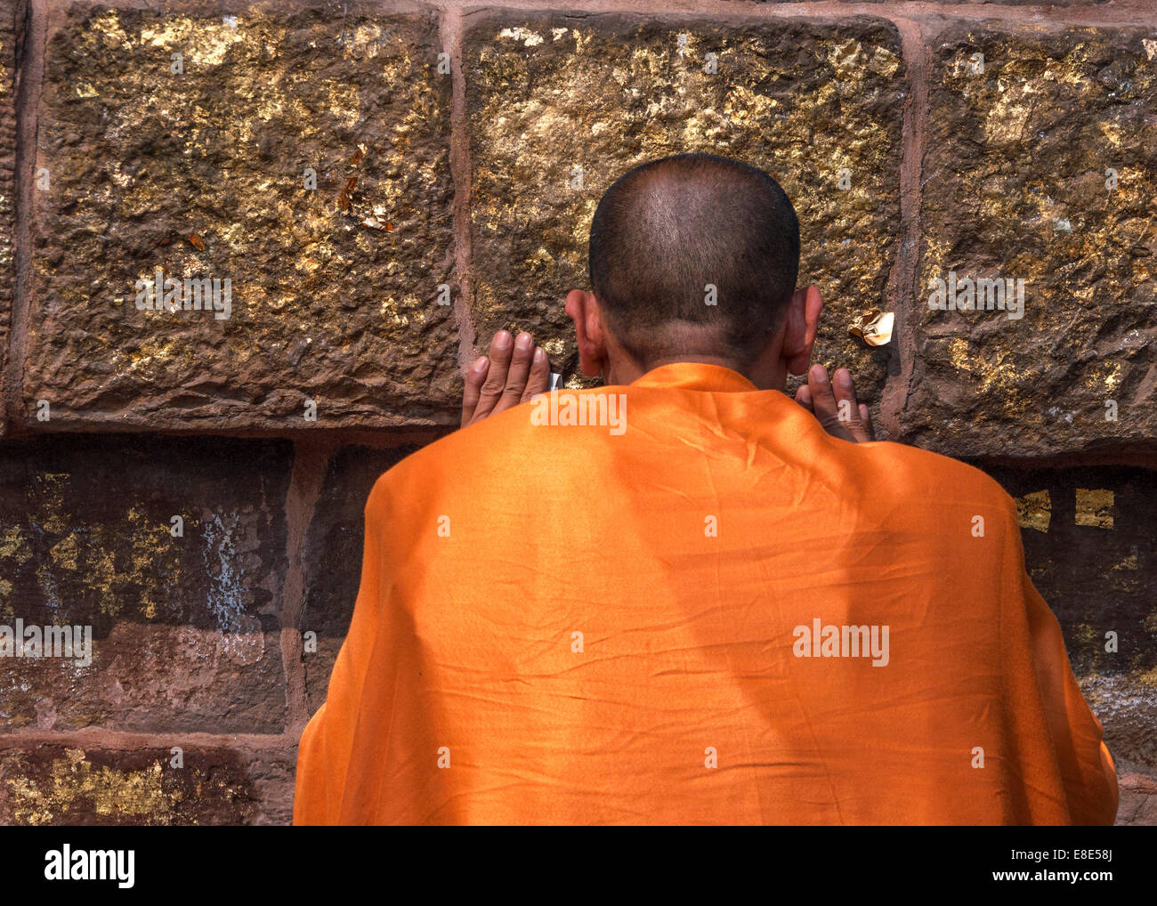 Buddhist monk prays at and kisses the gold-decorated wall of the Dhamekh Stupa. Stock Photo