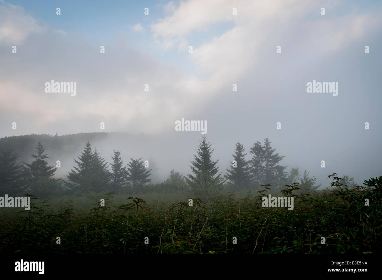 Roan mountain hires stock photography and images Alamy