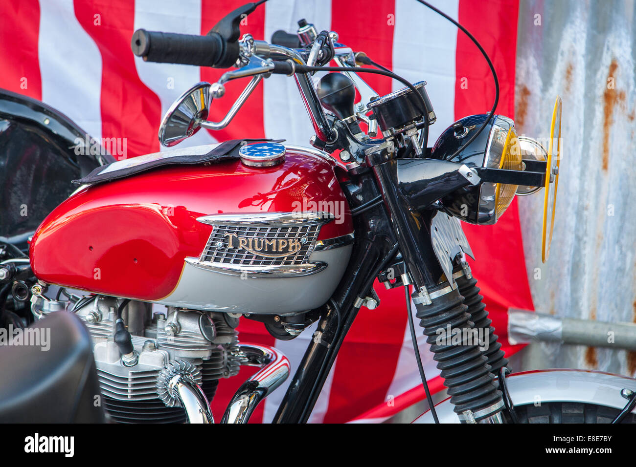 Vintage triumph motorcycle hires stock photography and images Alamy