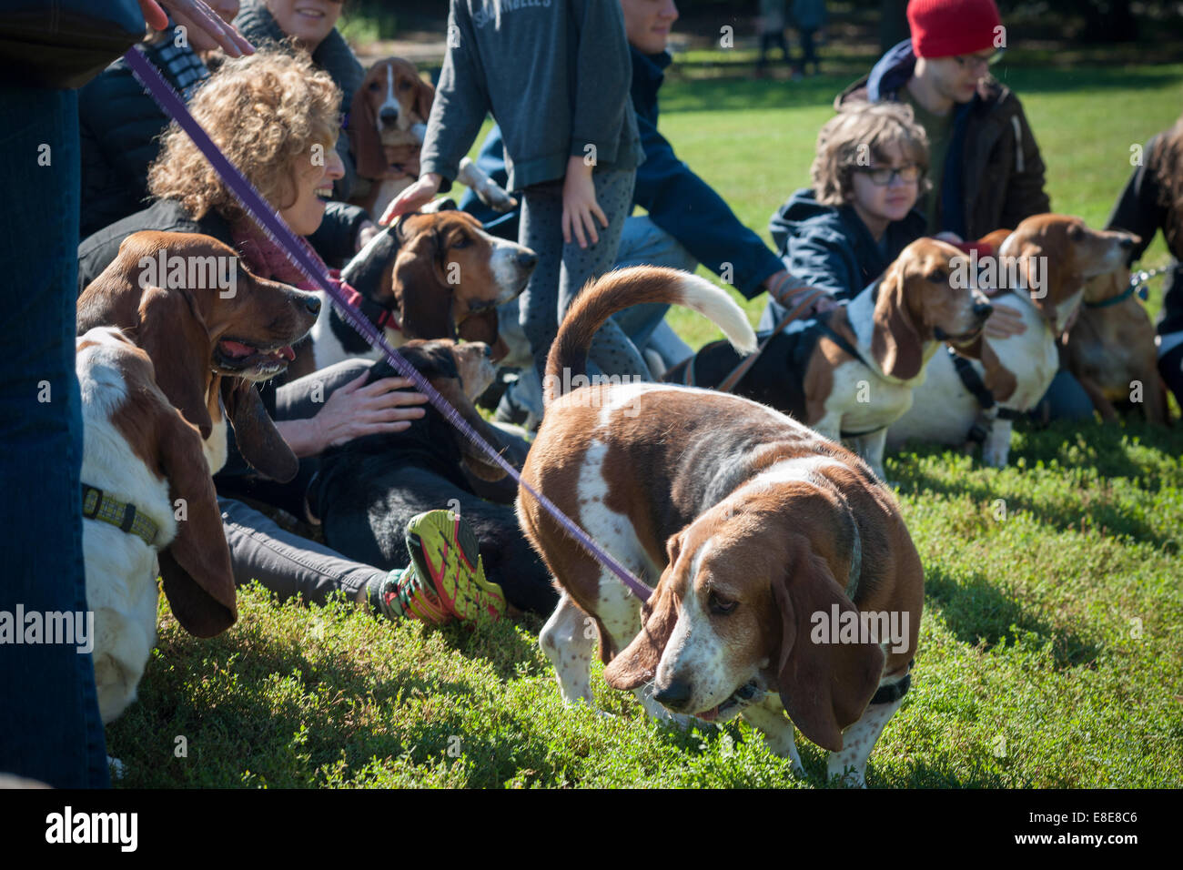 City children with dog hi-res stock photography and images - Page 13 - Alamy
