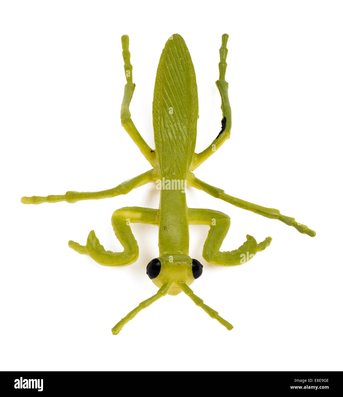 stick insect toy