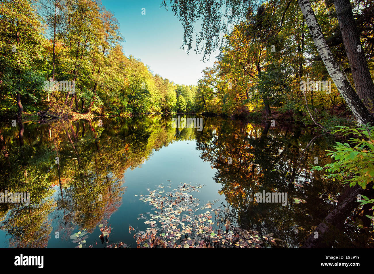 Sunny day in outdoor park with lake and colorful autumn trees ...