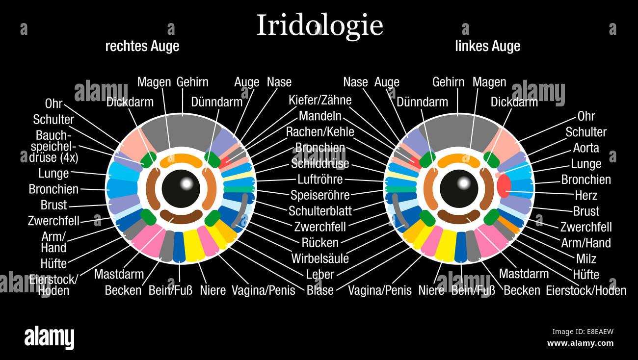 Iris diagnostic or iridology chart with description of the corresponding internal organs and body parts - german labeling. Stock Photo