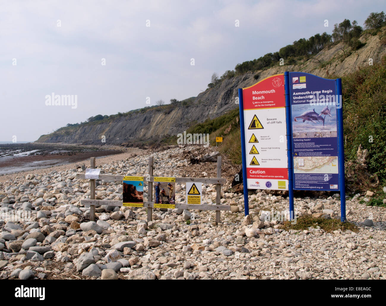 Monmouth Beach the main area for fossil hunting at Lyme Regis, Dorset