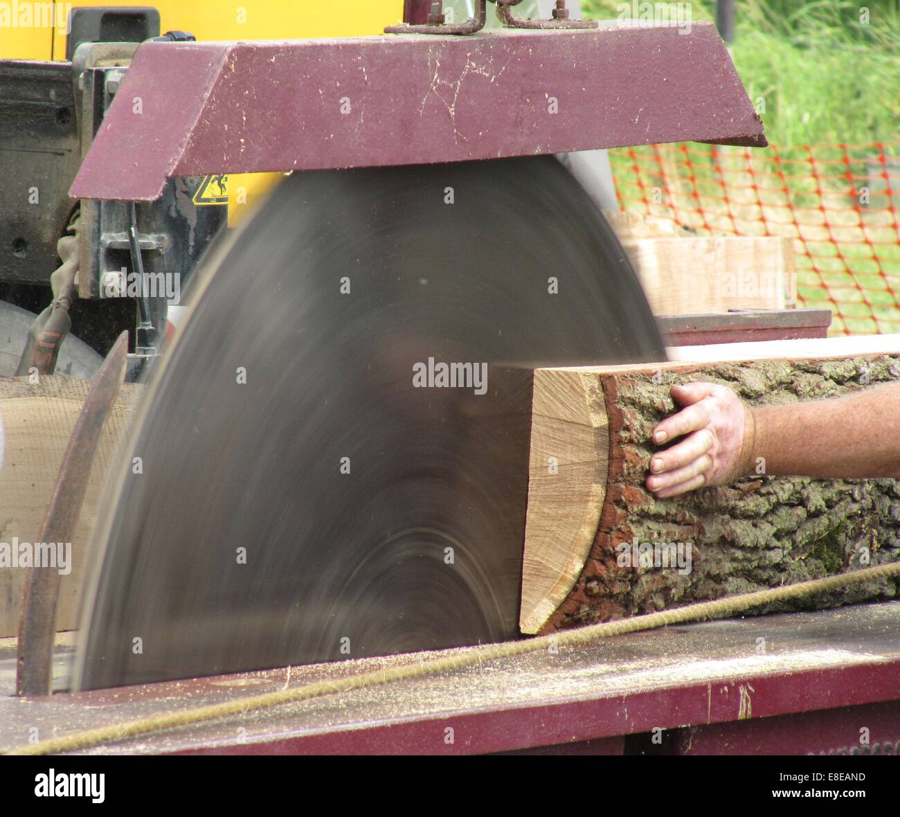 a large dangerous looking circular saw cutting wood Stock Photo Alamy