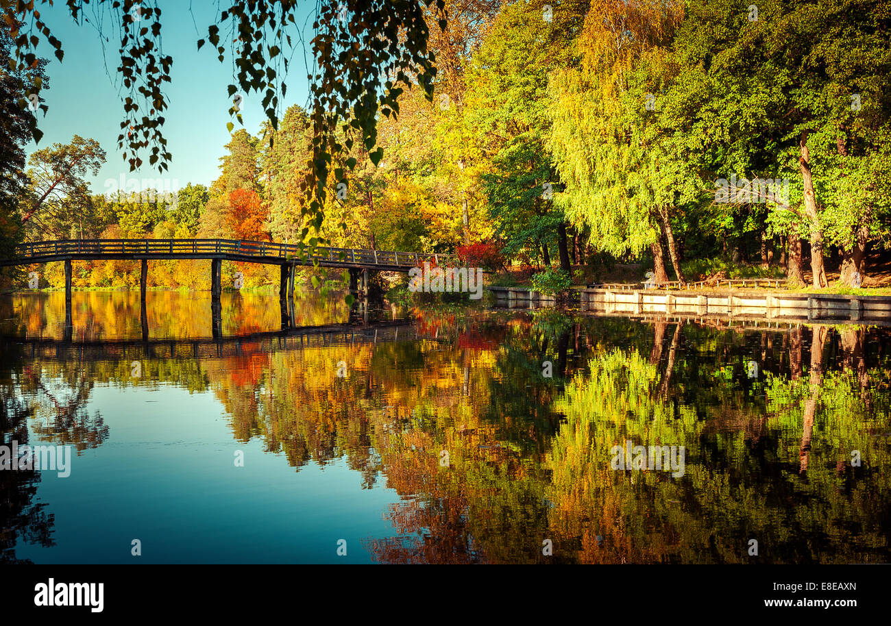 Sunny day in outdoor park with wooden bridge on lake and colorful autumn trees reflection under blue sky. Amazing bright colors Stock Photo