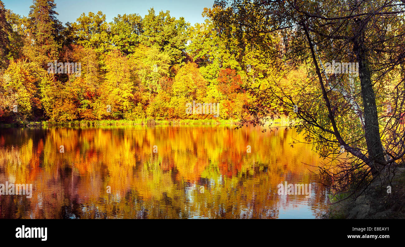 Sunny day in outdoor park with lake and colorful autumn trees ...