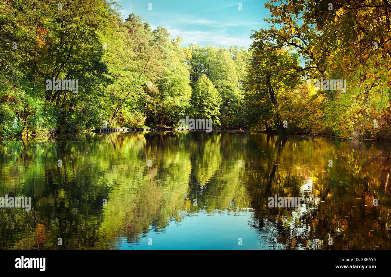 Sunny day in outdoor park with lake and colorful autumn trees reflection under blue sky. Amazing bright colors of autumn nature Stock Photo