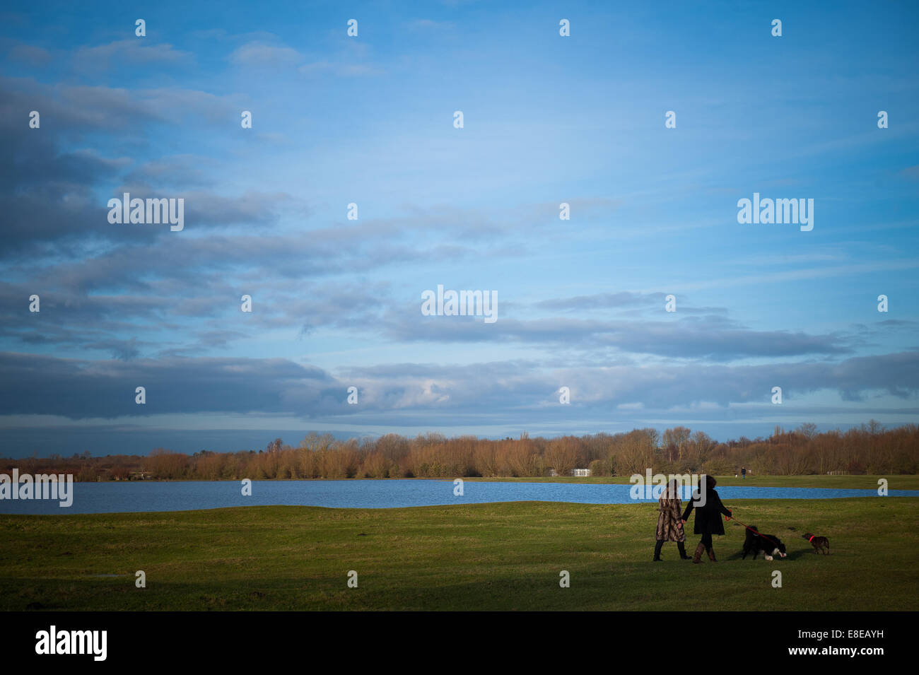 2 women walking dogs on Port Meadow, a large and special area of common land between Jericho and Wolvercote in Oxford, UK Stock Photo