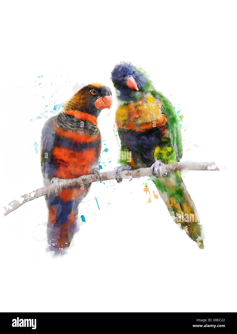 Watercolor Digital Painting Of Rainbow Parrots(Rainbow Lorikeet) Stock Photo