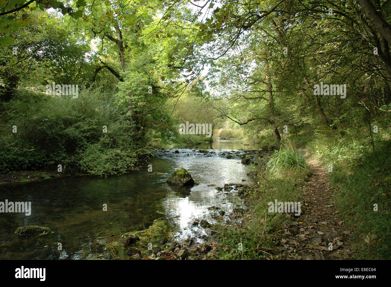 River Wye in Miller's Dale, Derbyshire, Peak District Stock Photo