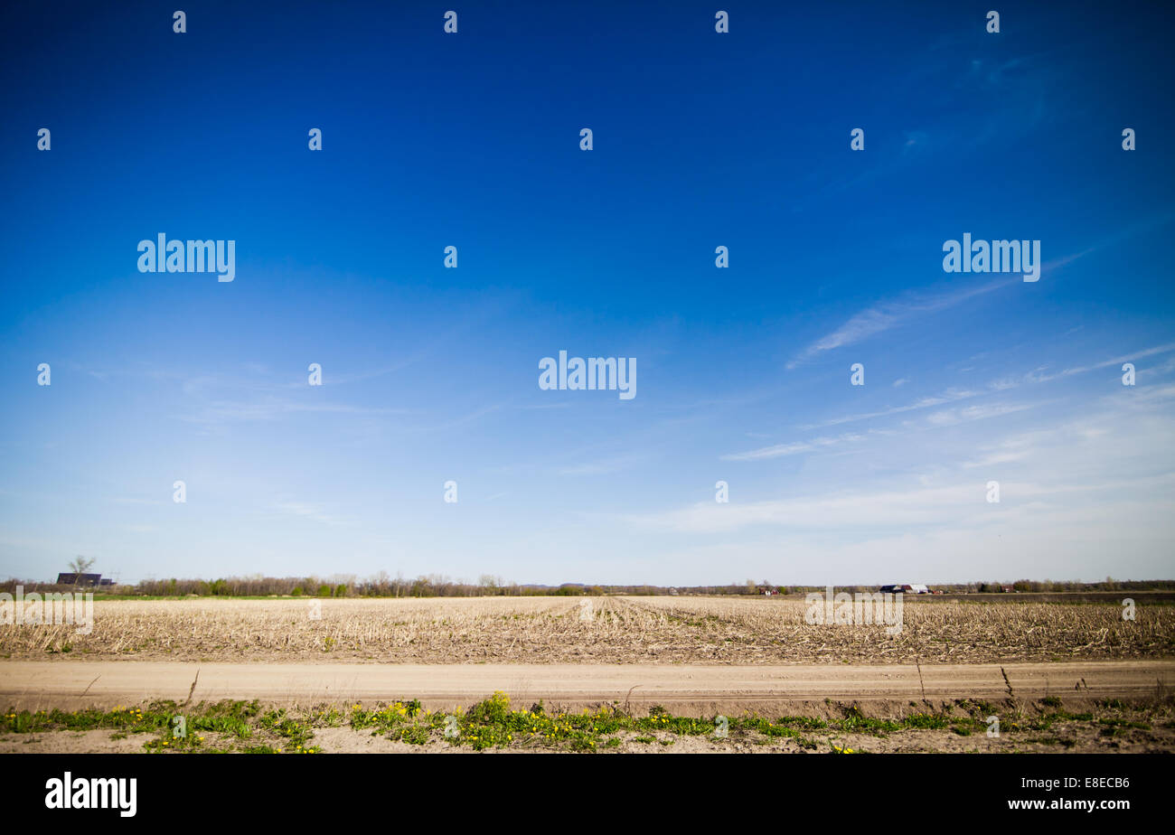 Dirt Road with amazing blue sky Stock Photo - Alamy