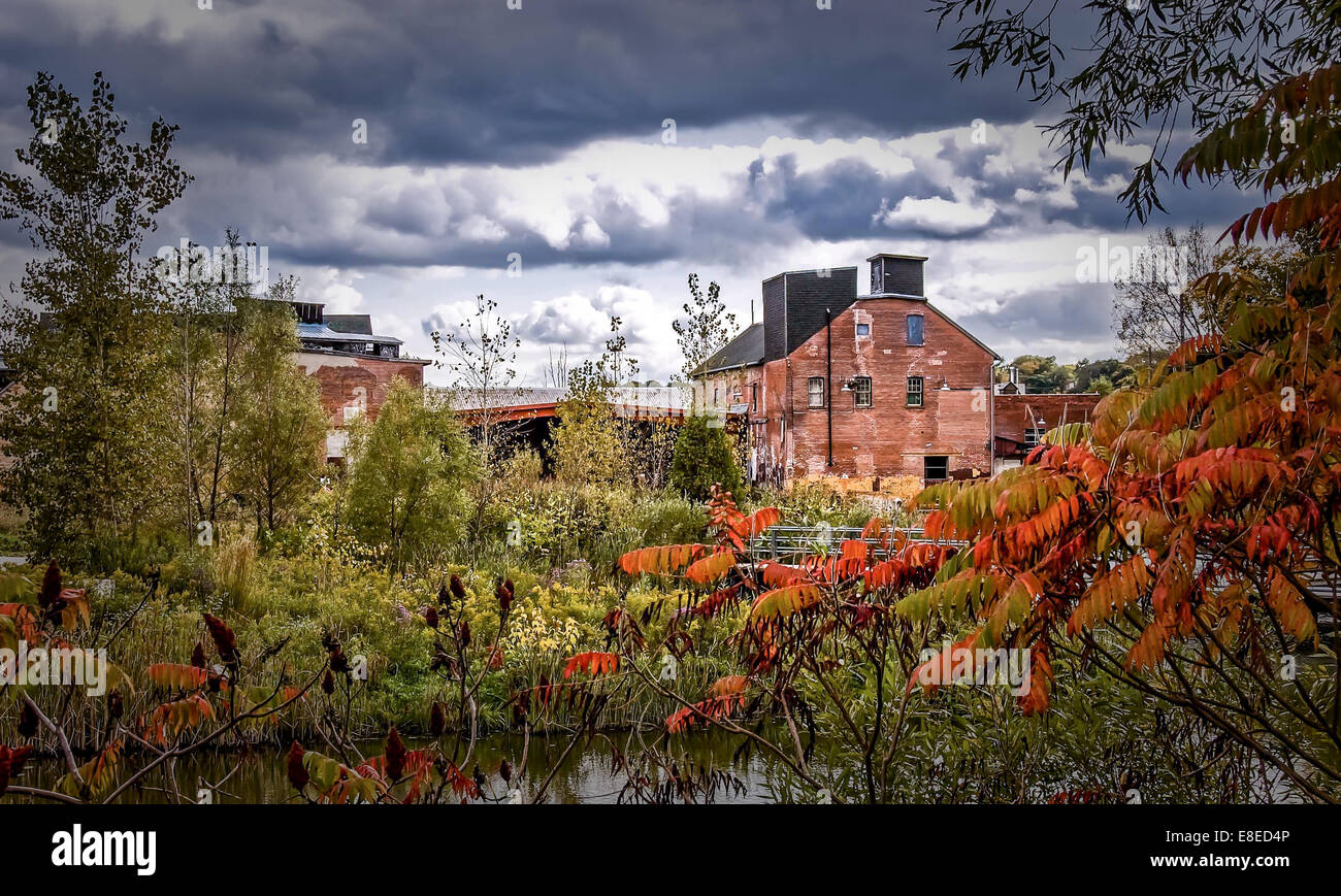 Evergreen Brick Works Skating