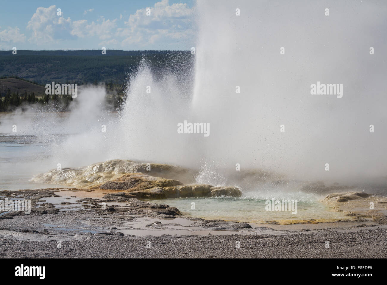 closeup of a geyser in yellowstone with hot water and steam flowing out ...