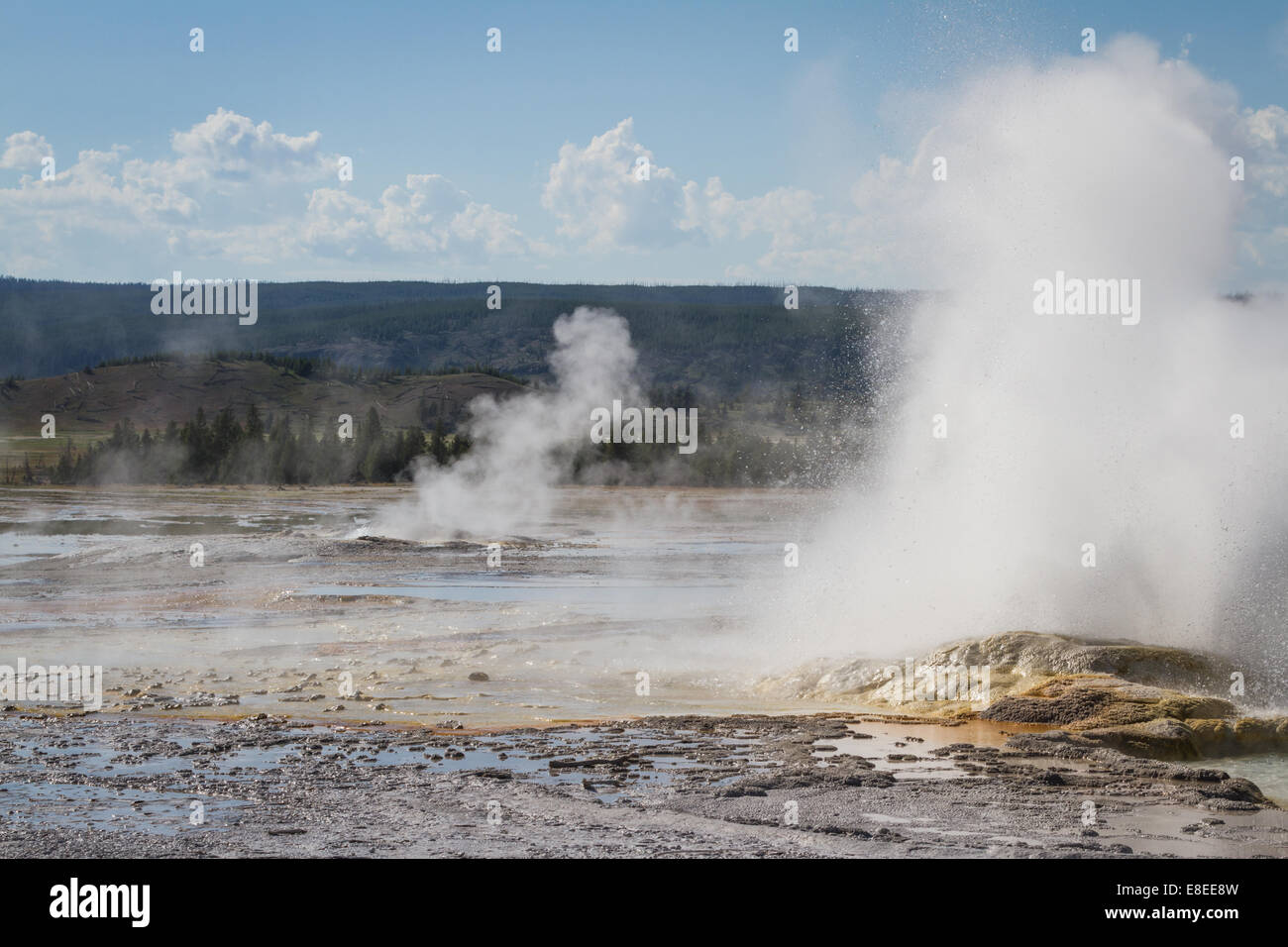 closeup of a geyser in yellowstone with hot water and steam flowing out ...