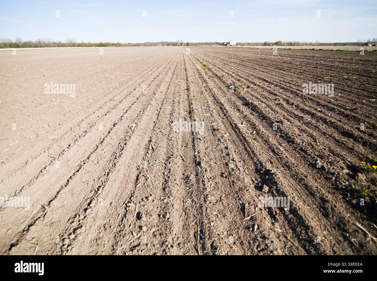 Cultivated land in the Spring Stock Photo