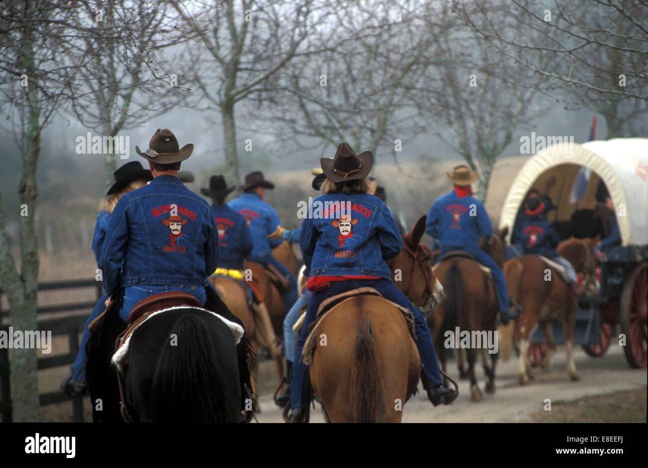 group of people riding horses in a trail ride Stock Photo - Alamy