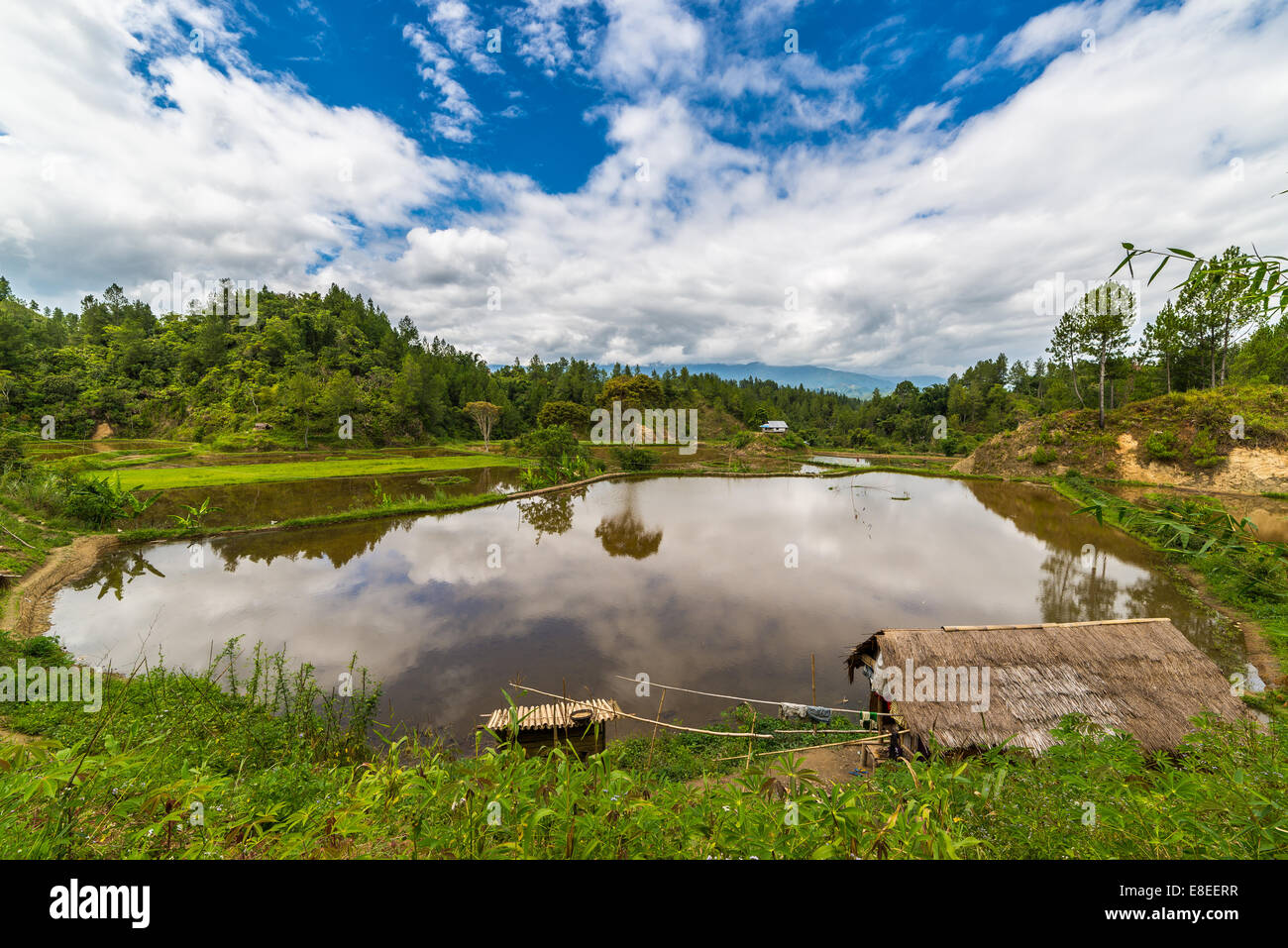 Stunning landscape and bright rice fields in Tana Toraja, South Sulawesi, Indonesia. Wide angle view. Stock Photo