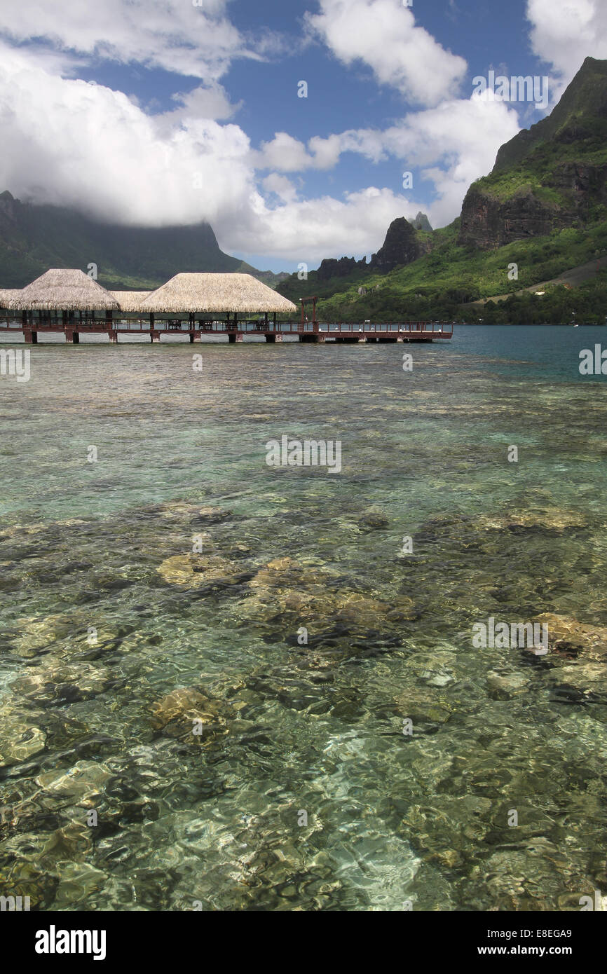 Moorea cooks bay trees hi-res stock photography and images - Alamy